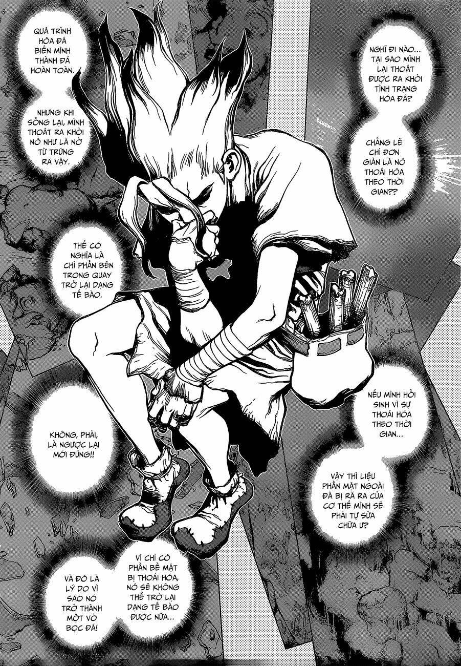 dr.stone - hồi sinh thế giới chapter 14 - Trang 2