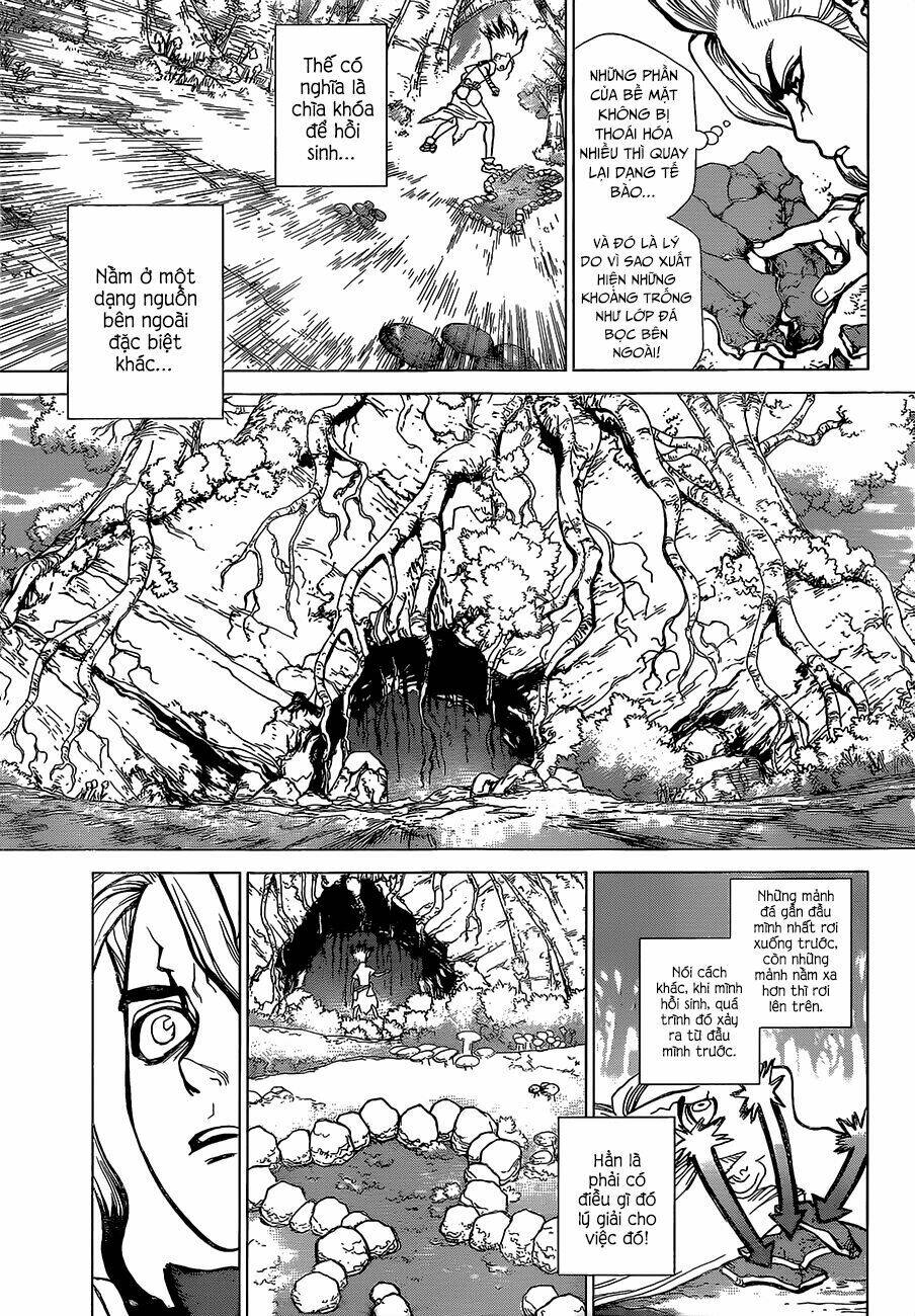 dr.stone - hồi sinh thế giới chapter 14 - Trang 2