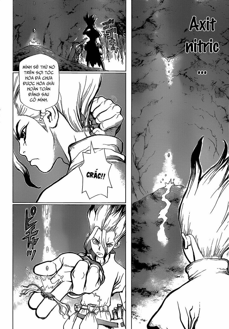 dr.stone - hồi sinh thế giới chapter 14 - Trang 2