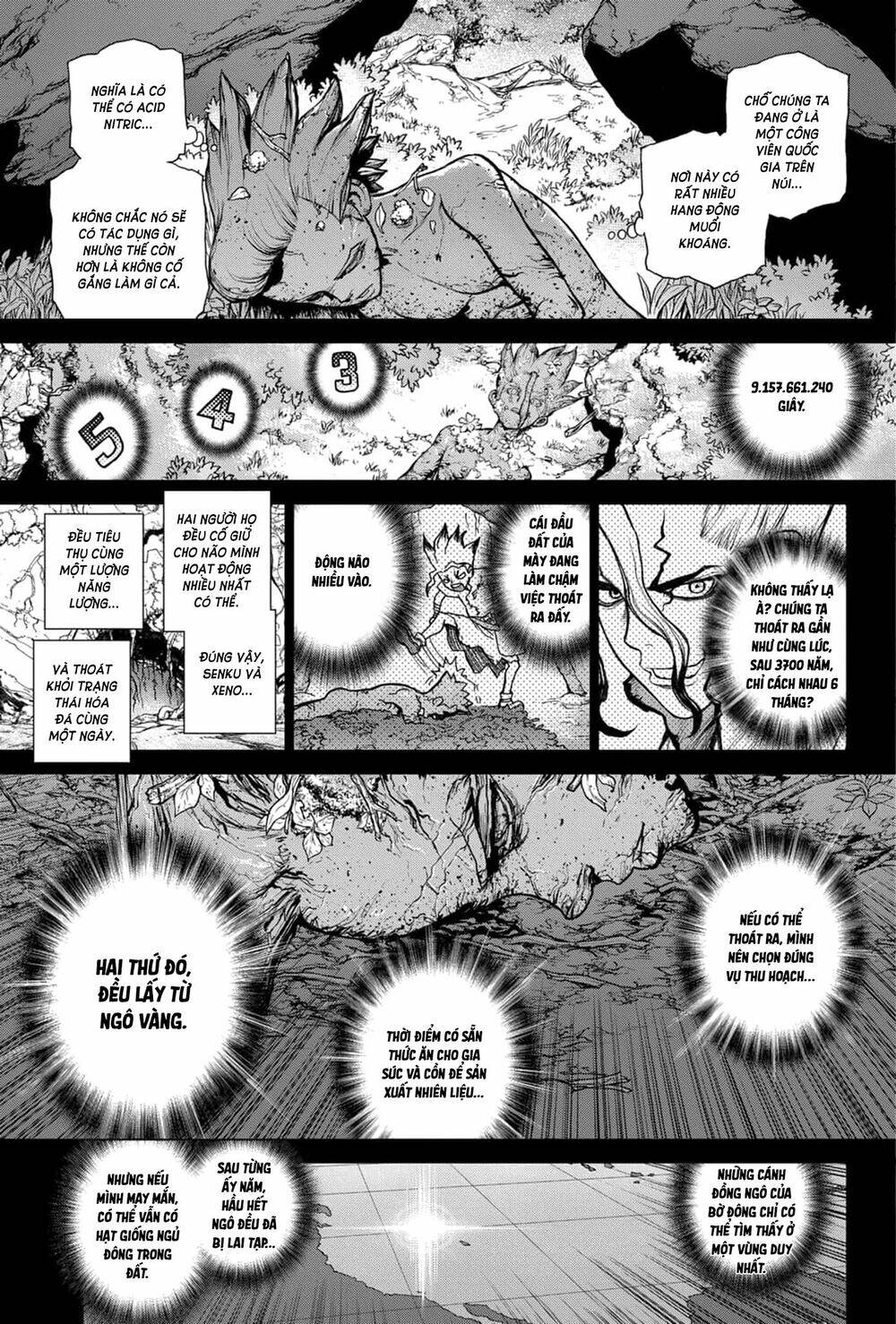 dr.stone - hồi sinh thế giới chapter 157 - Trang 2