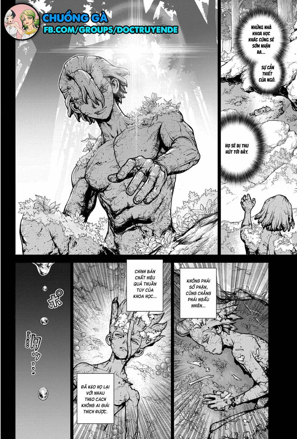 dr.stone - hồi sinh thế giới chapter 157 - Trang 2