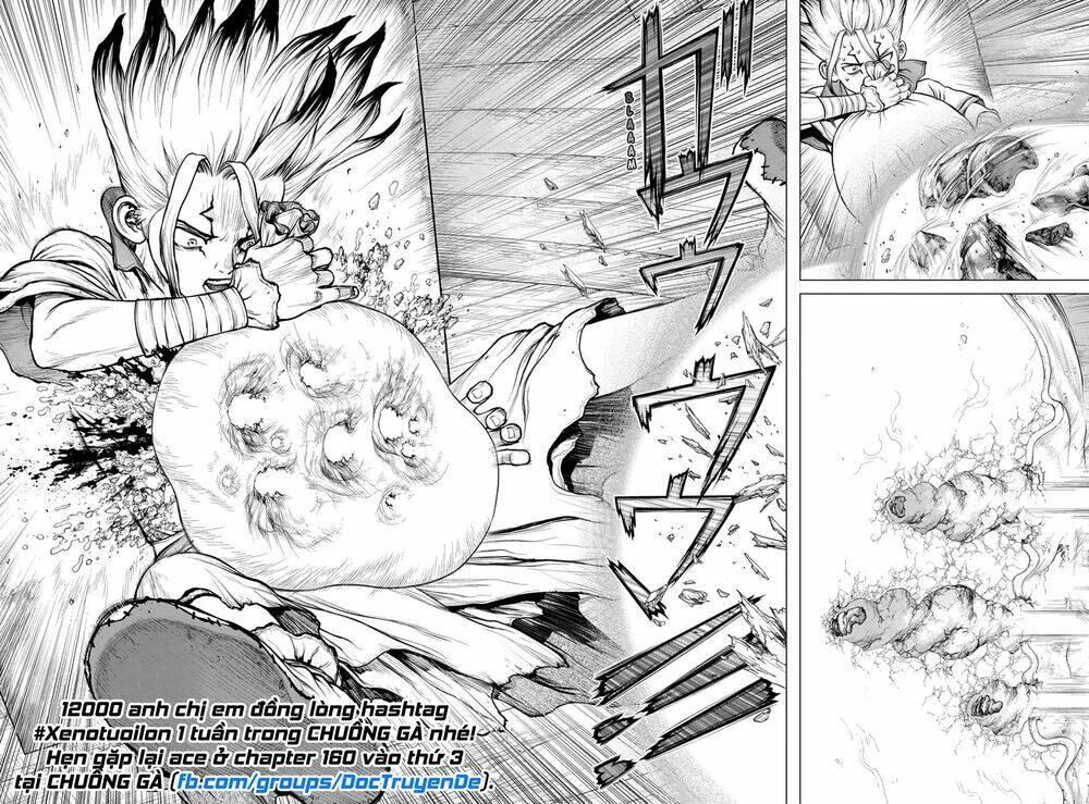 dr.stone - hồi sinh thế giới chapter 159 - Trang 2