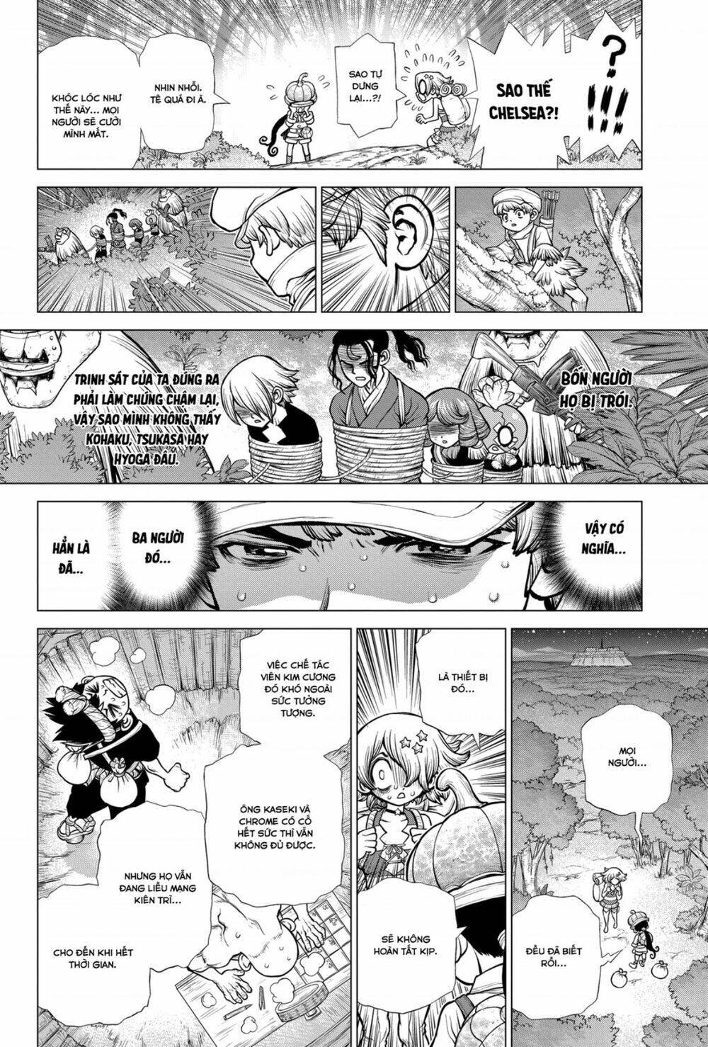 dr.stone - hồi sinh thế giới chapter 189 - Trang 2