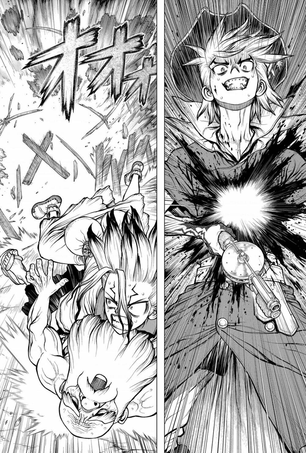 dr.stone - hồi sinh thế giới chapter 189 - Trang 2