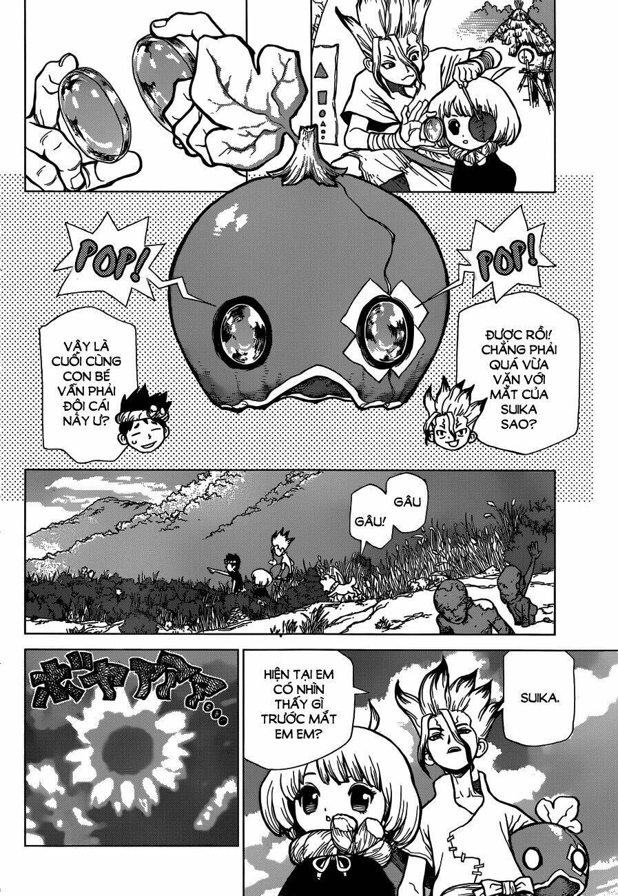 dr.stone - hồi sinh thế giới chapter 28 - Trang 2