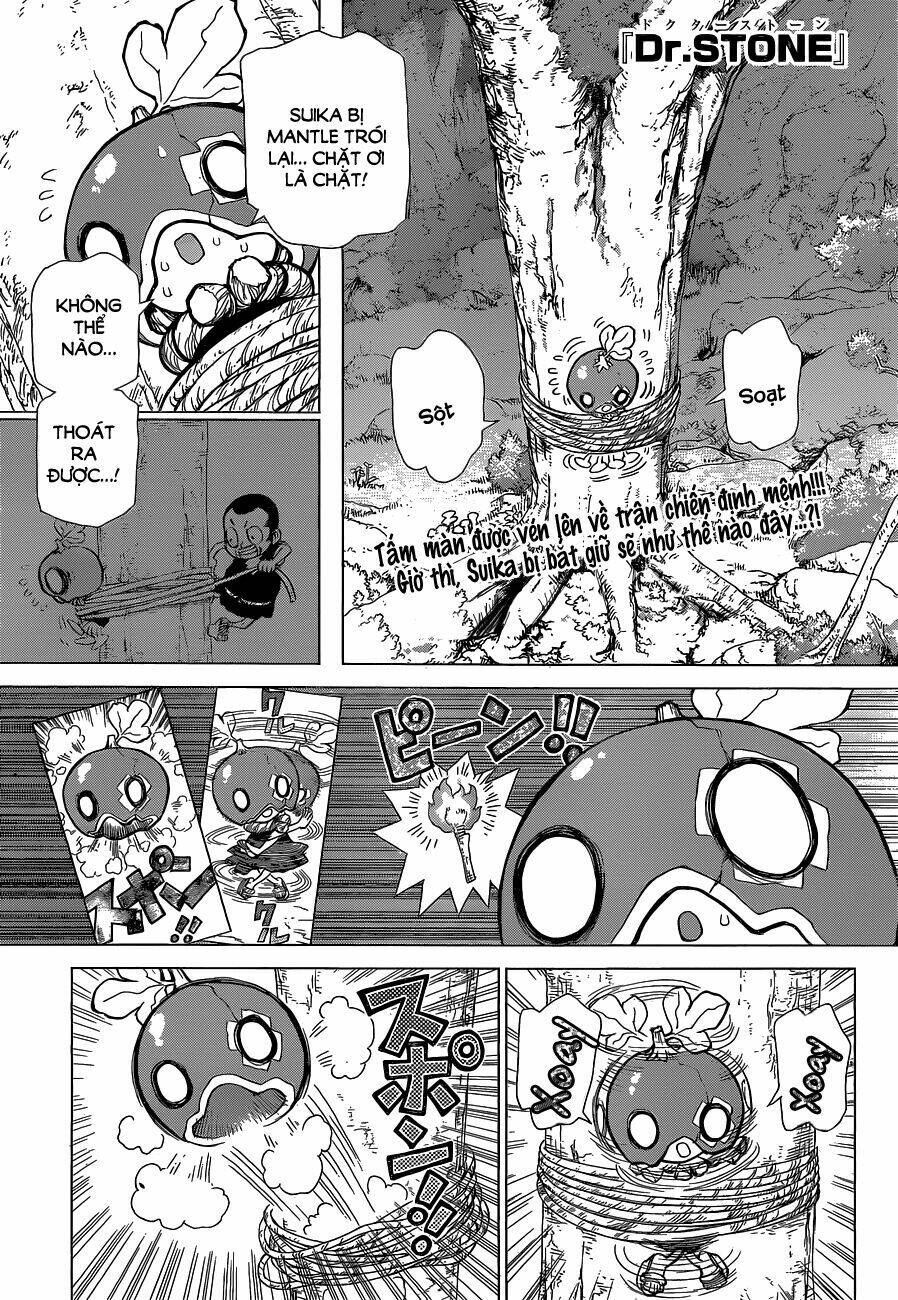 dr.stone - hồi sinh thế giới chapter 35 - Trang 2