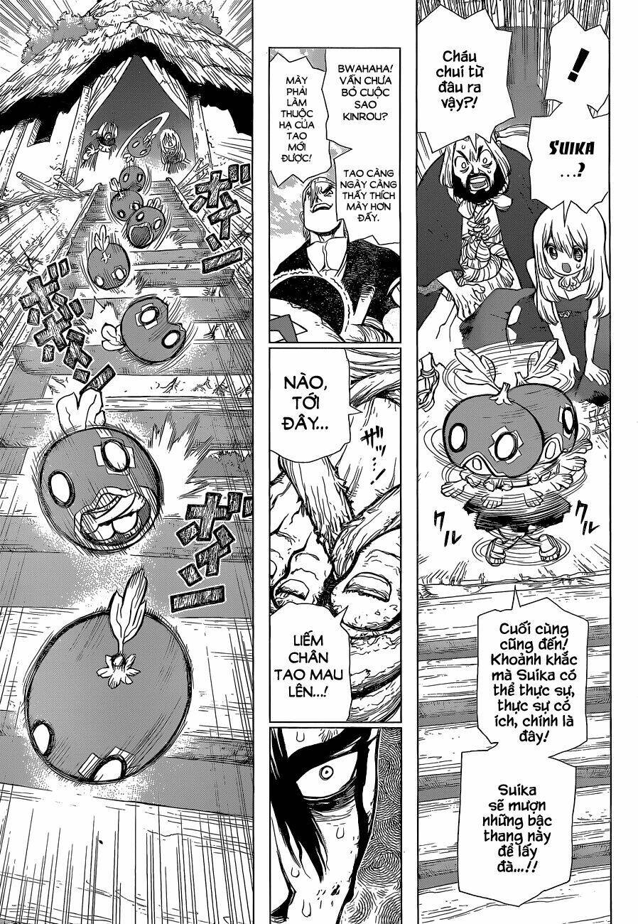 dr.stone - hồi sinh thế giới chapter 35 - Trang 2