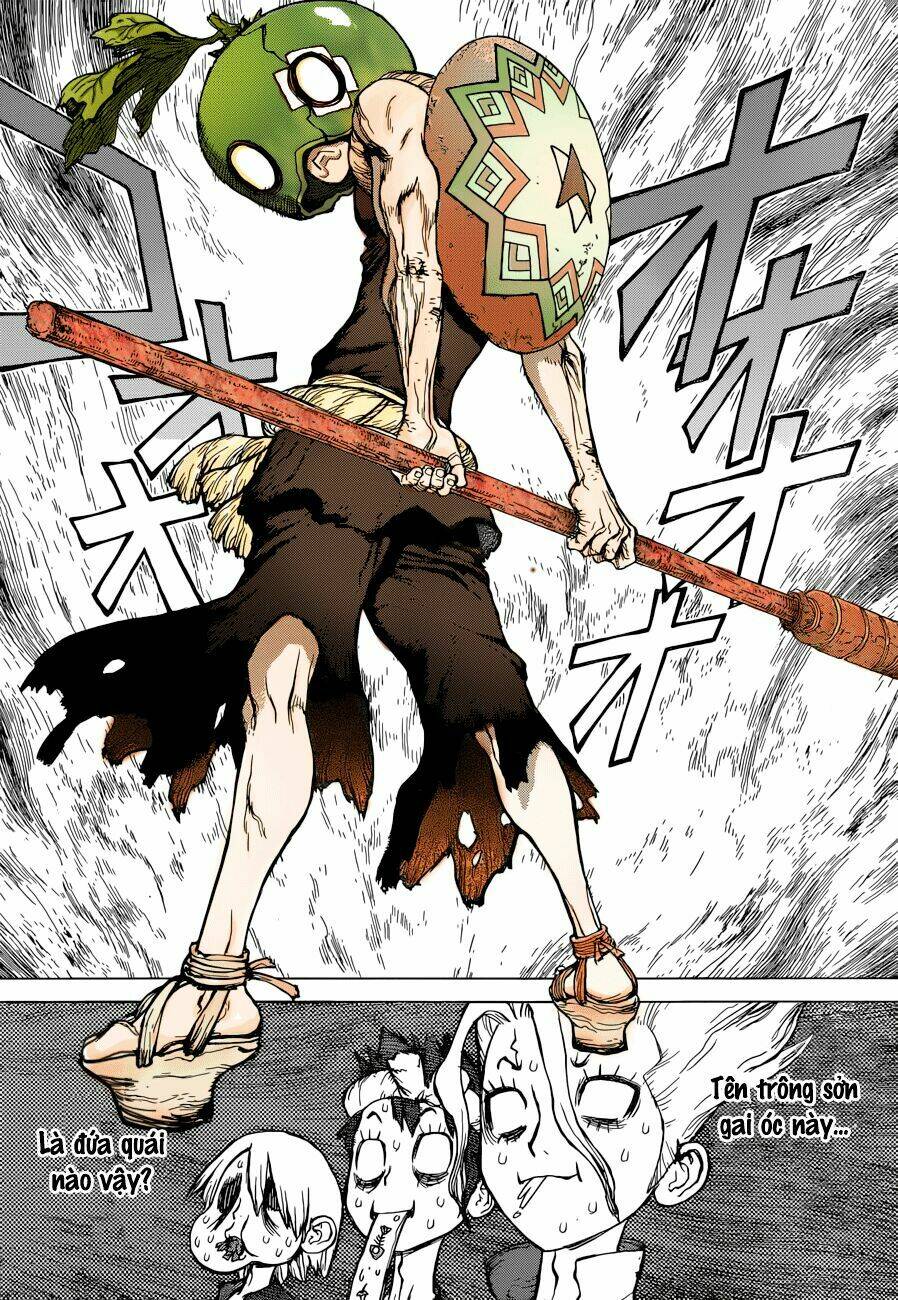 dr.stone - hồi sinh thế giới chapter 35 - Trang 2