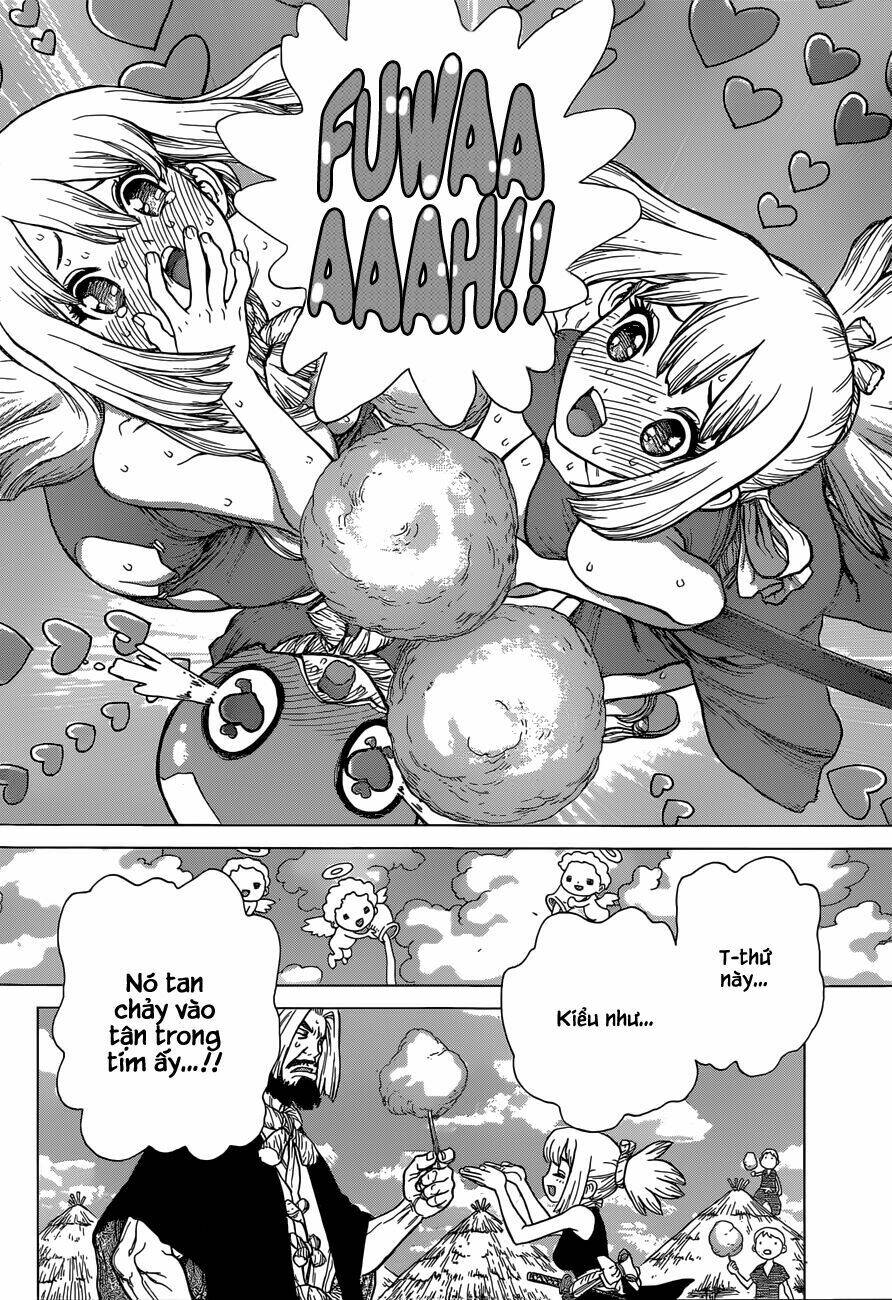 dr.stone - hồi sinh thế giới chapter 51: vị ngọt trong thạch giới này. - Trang 2