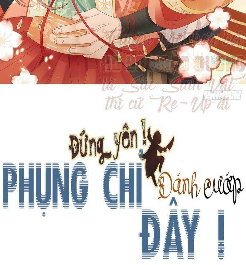 Đứng Yên ! Phụng Chỉ Đánh Cướp Đây Chapter 33 - Trang 2