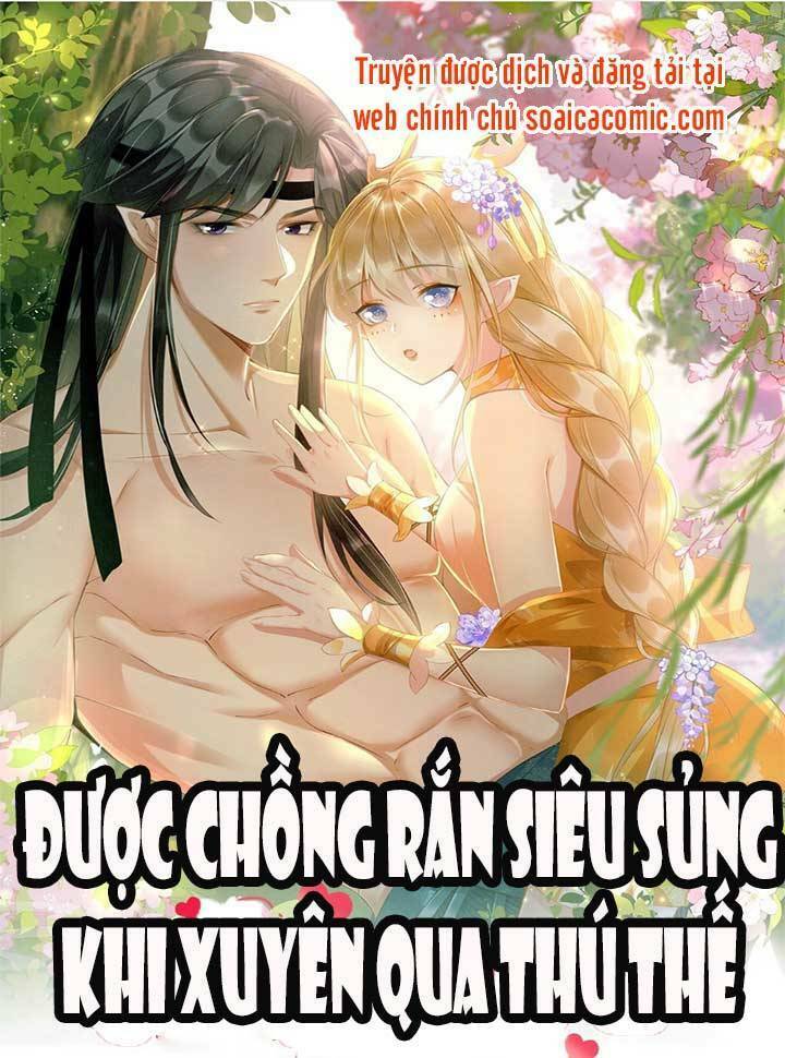 được chồng rắn siêu sủng khi xuyên qua thú thế chapter 4 - Next chapter 5