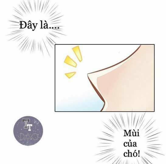 dưới móng vuốt mèo chương 8 - Trang 2