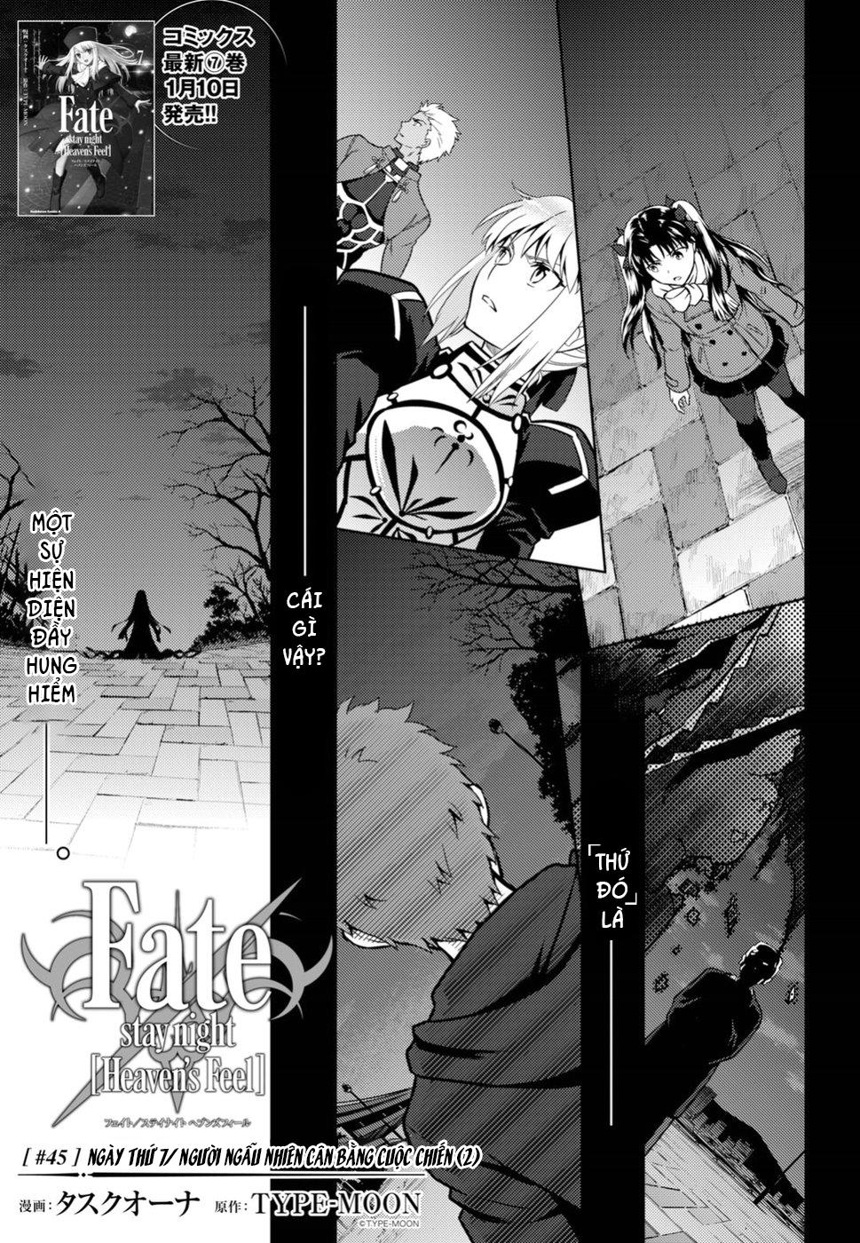 Fate/Stay Night Heaven's Feel Chapter 45 - Next Chapter 46