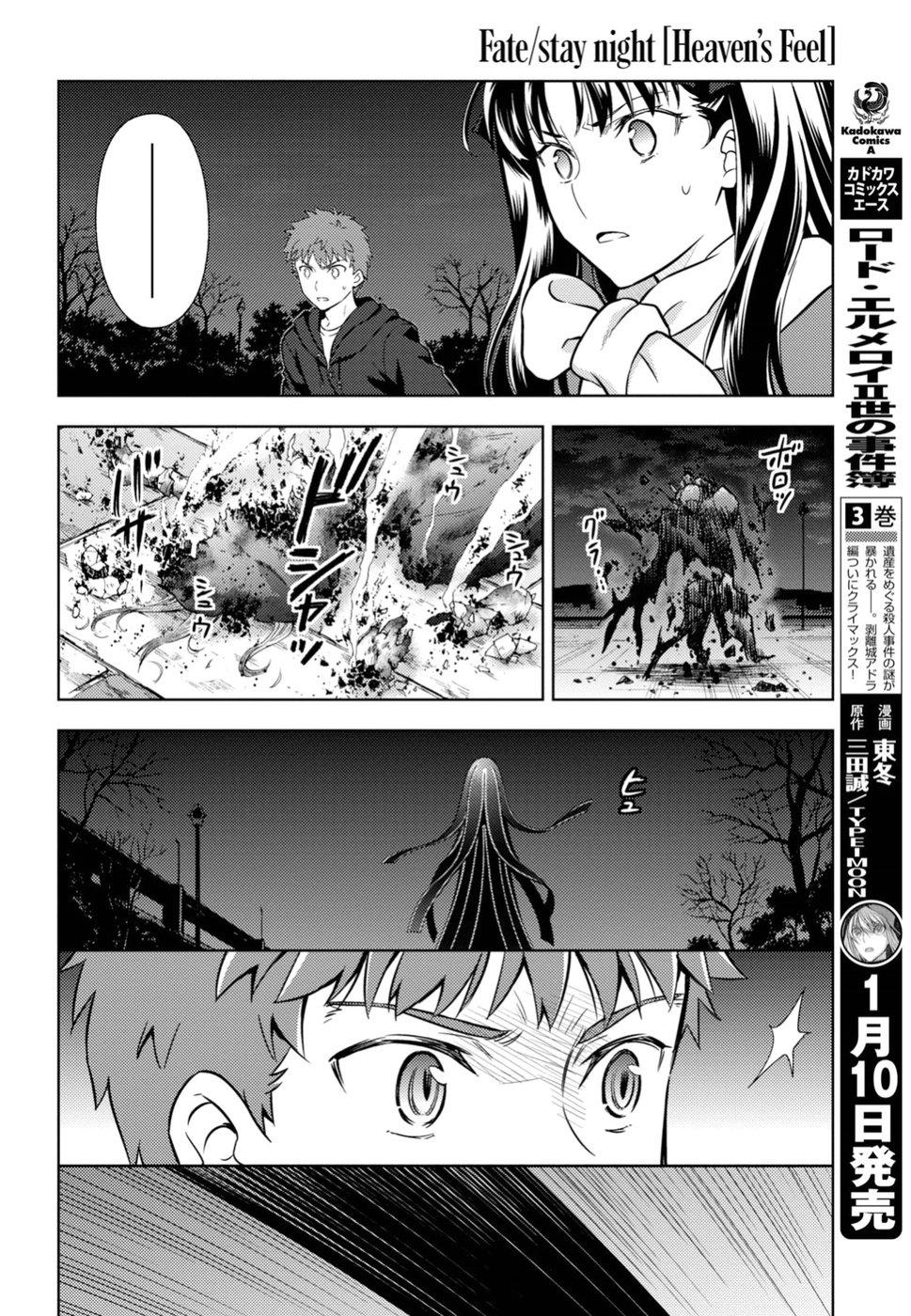 Fate/Stay Night Heaven's Feel Chapter 45 - Next Chapter 46