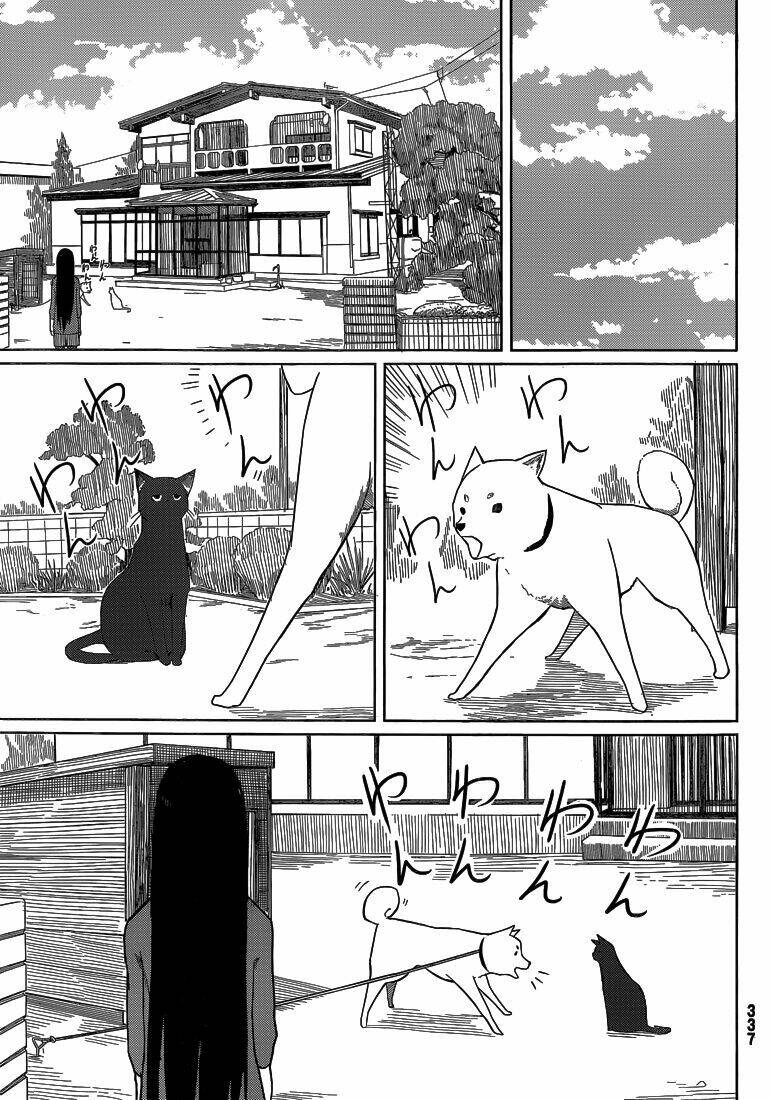 flying witch chapter 4: cách sử dụng một thứ cưng ... - Next chapter 5: vị khách của phù thủy