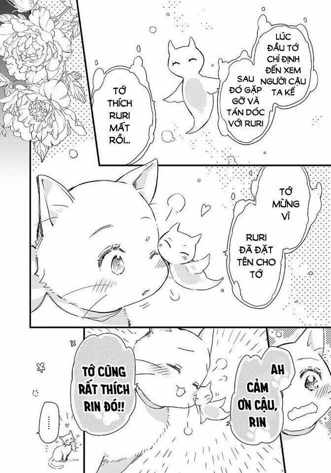 Fukushuu Wo Chikatta Shironeko Wa Ryuuou No Hiza No Jou De Damin Wo Musaboru Chapter 15 - Next Chapter 16