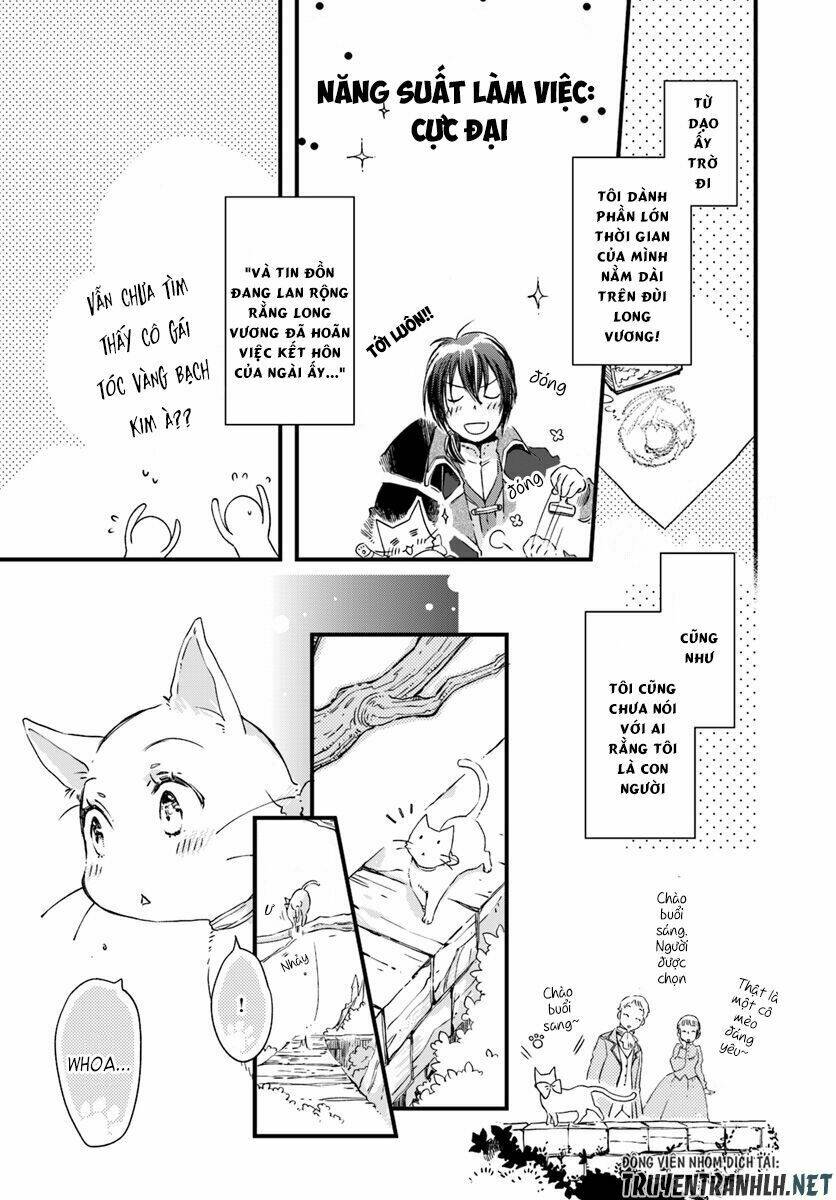 Fukushuu Wo Chikatta Shironeko Wa Ryuuou No Hiza No Jou De Damin Wo Musaboru Chapter 9 - Next Chapter 10