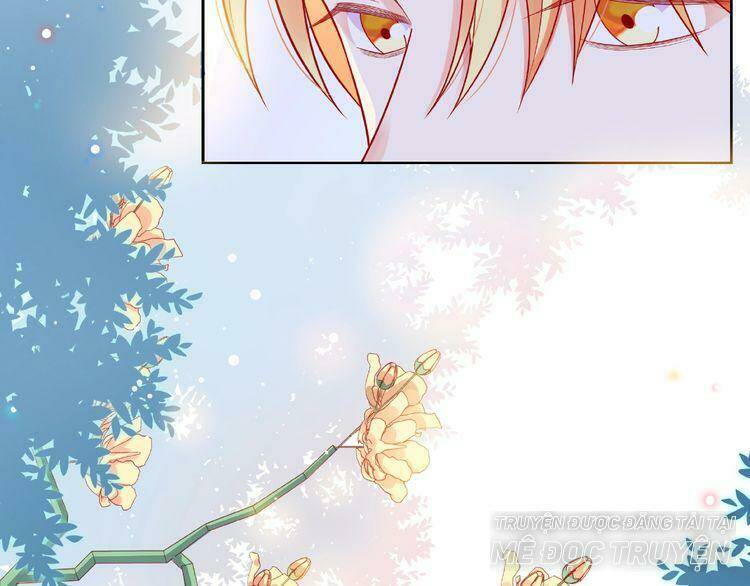 Giai Điệu Của Sự Va Chạm Chapter 51 - Next Chapter 52