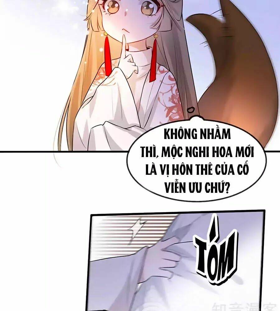 gian phi như thử đa kiều chapter 28 - Trang 2