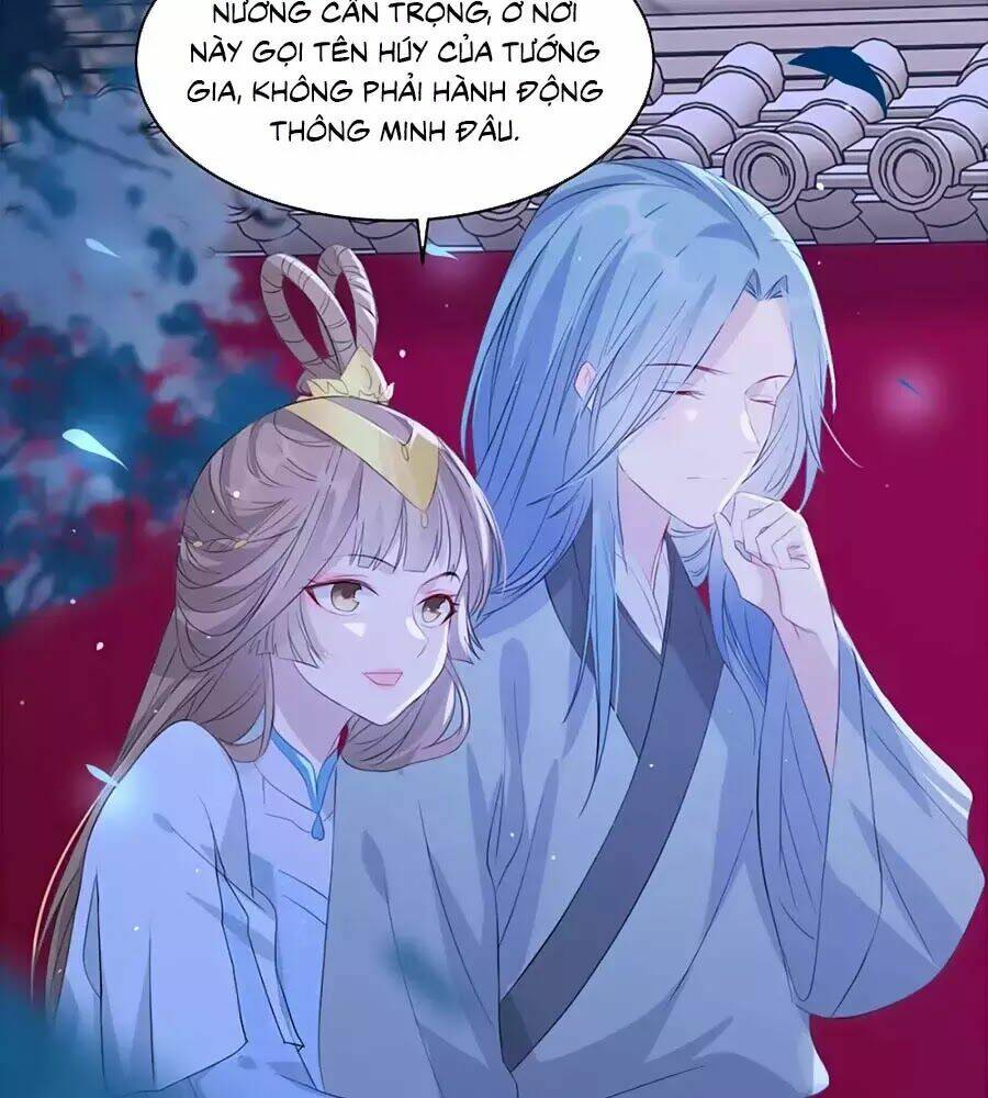 gian phi như thử đa kiều chapter 63 - Next chapter 64