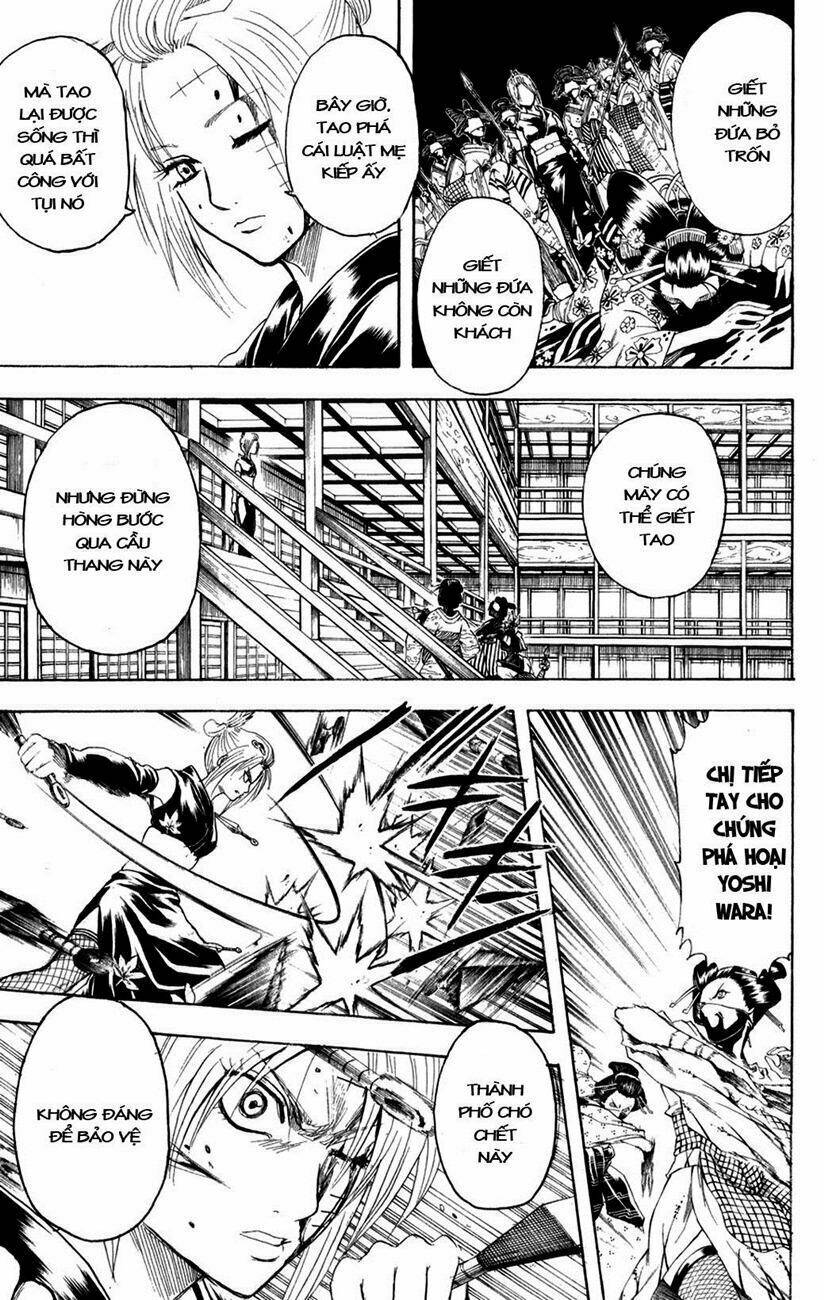 Gintama - Linh Hồn Bạc Chapter 217 - Trang 2