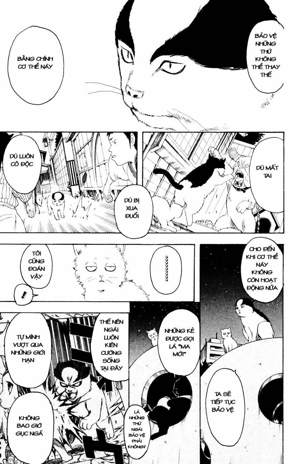 Gintama - Linh Hồn Bạc Chapter 277 - Trang 2