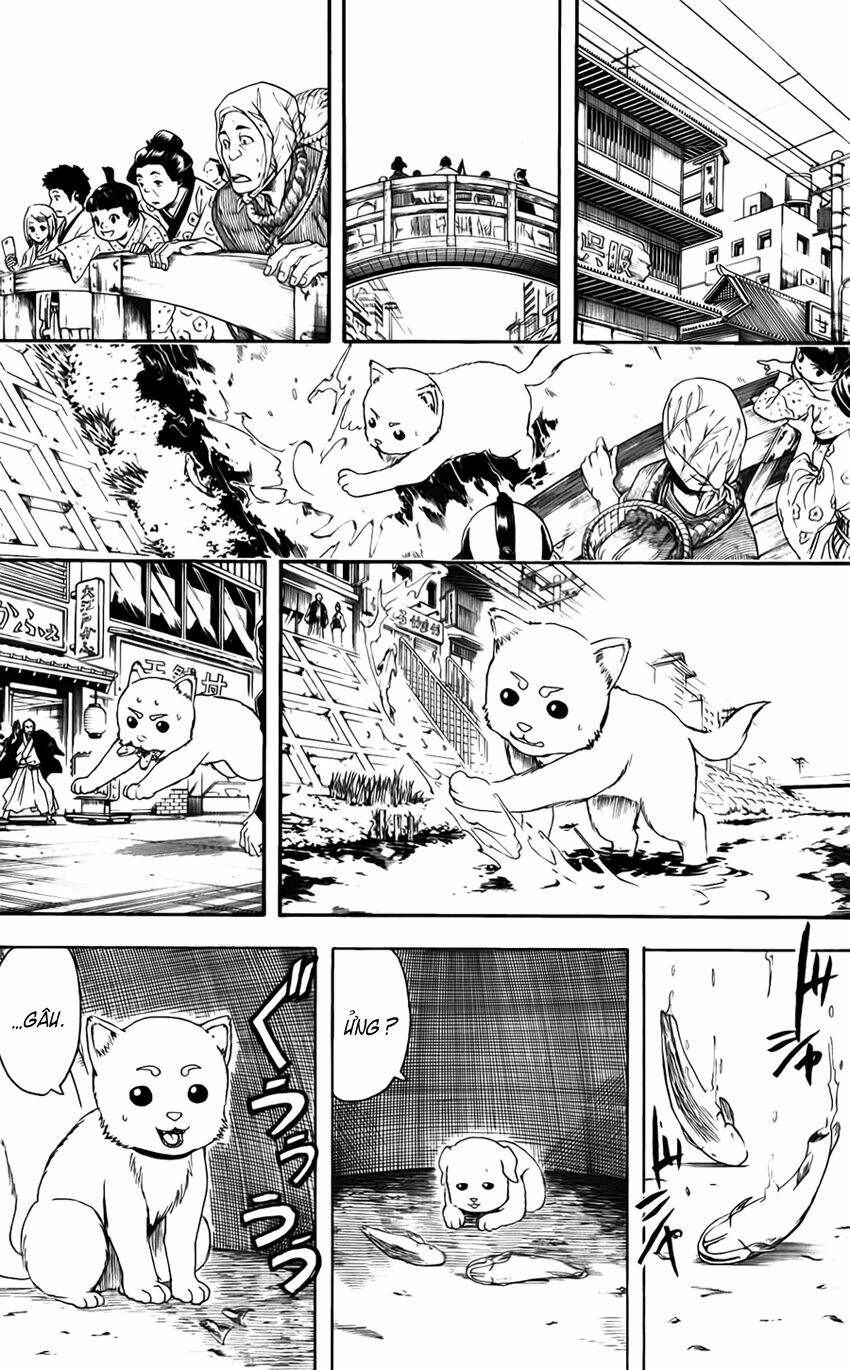 Gintama - Linh Hồn Bạc Chapter 402 - Next Chapter 403