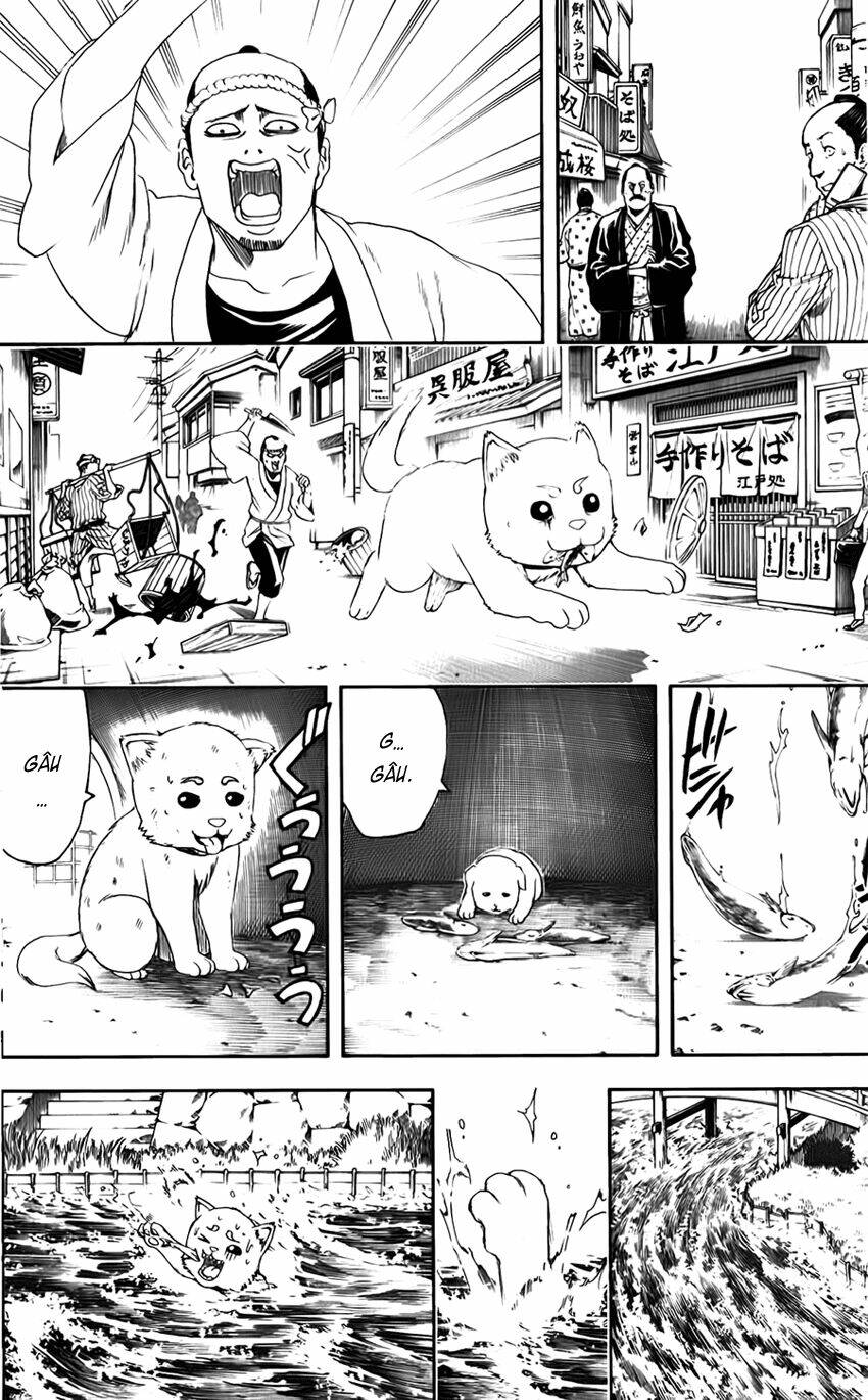 Gintama - Linh Hồn Bạc Chapter 402 - Next Chapter 403