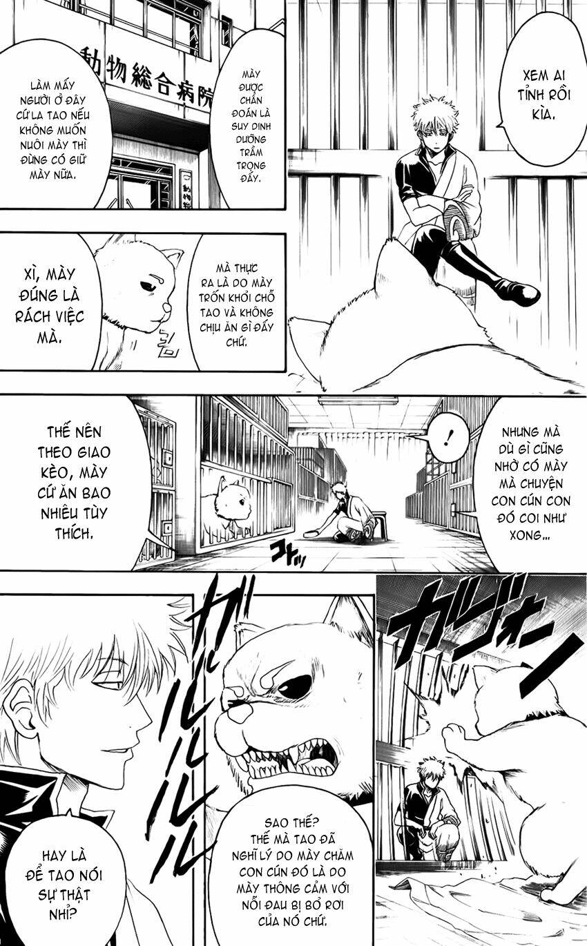 Gintama - Linh Hồn Bạc Chapter 402 - Next Chapter 403