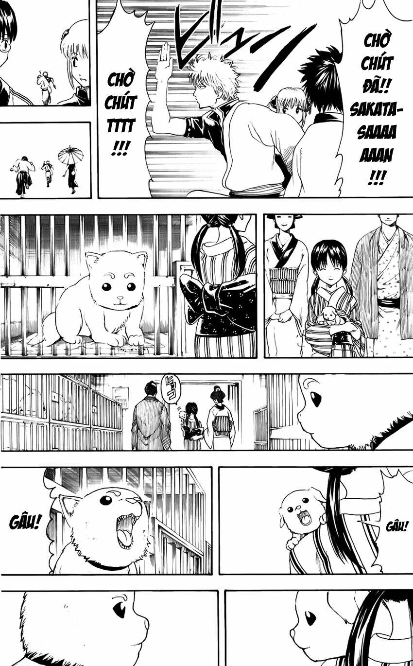 Gintama - Linh Hồn Bạc Chapter 402 - Next Chapter 403