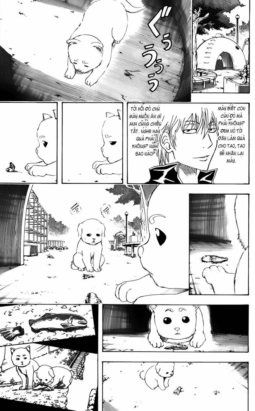 Gintama - Linh Hồn Bạc Chapter 402 - Next Chapter 403