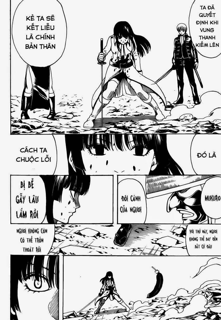 Gintama - Linh Hồn Bạc Chapter 542 - Next Chapter 543