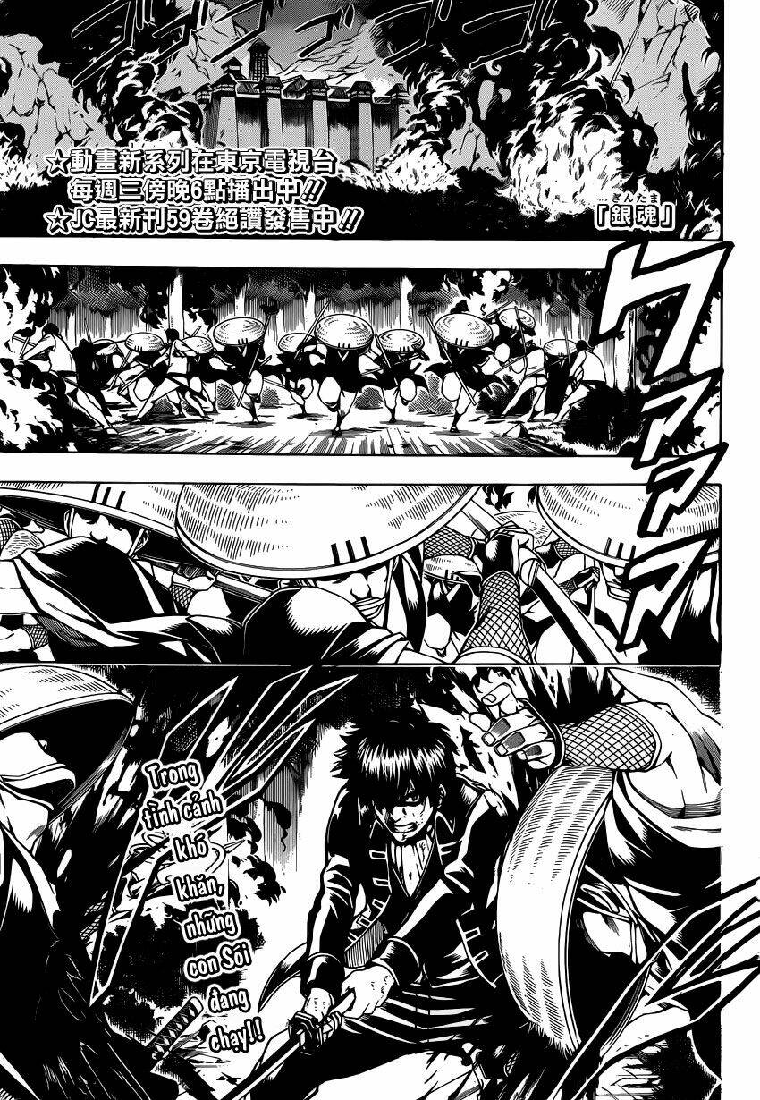 Gintama - Linh Hồn Bạc Chapter 543 - Next Chapter 544