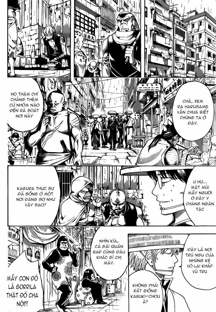 Gintama - Linh Hồn Bạc Chapter 559 - Next Chapter 560