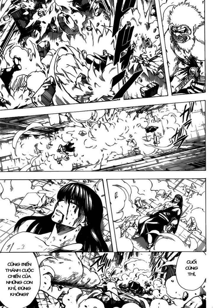 Gintama - Linh Hồn Bạc Chapter 564 - Trang 2