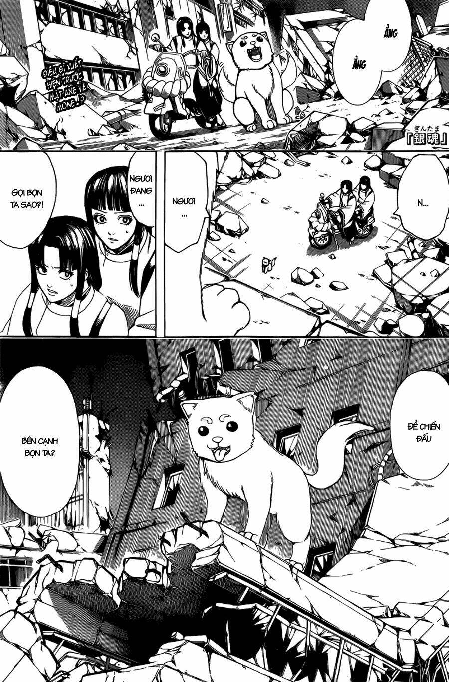 Gintama - Linh Hồn Bạc Chapter 651 - Next Chapter 652