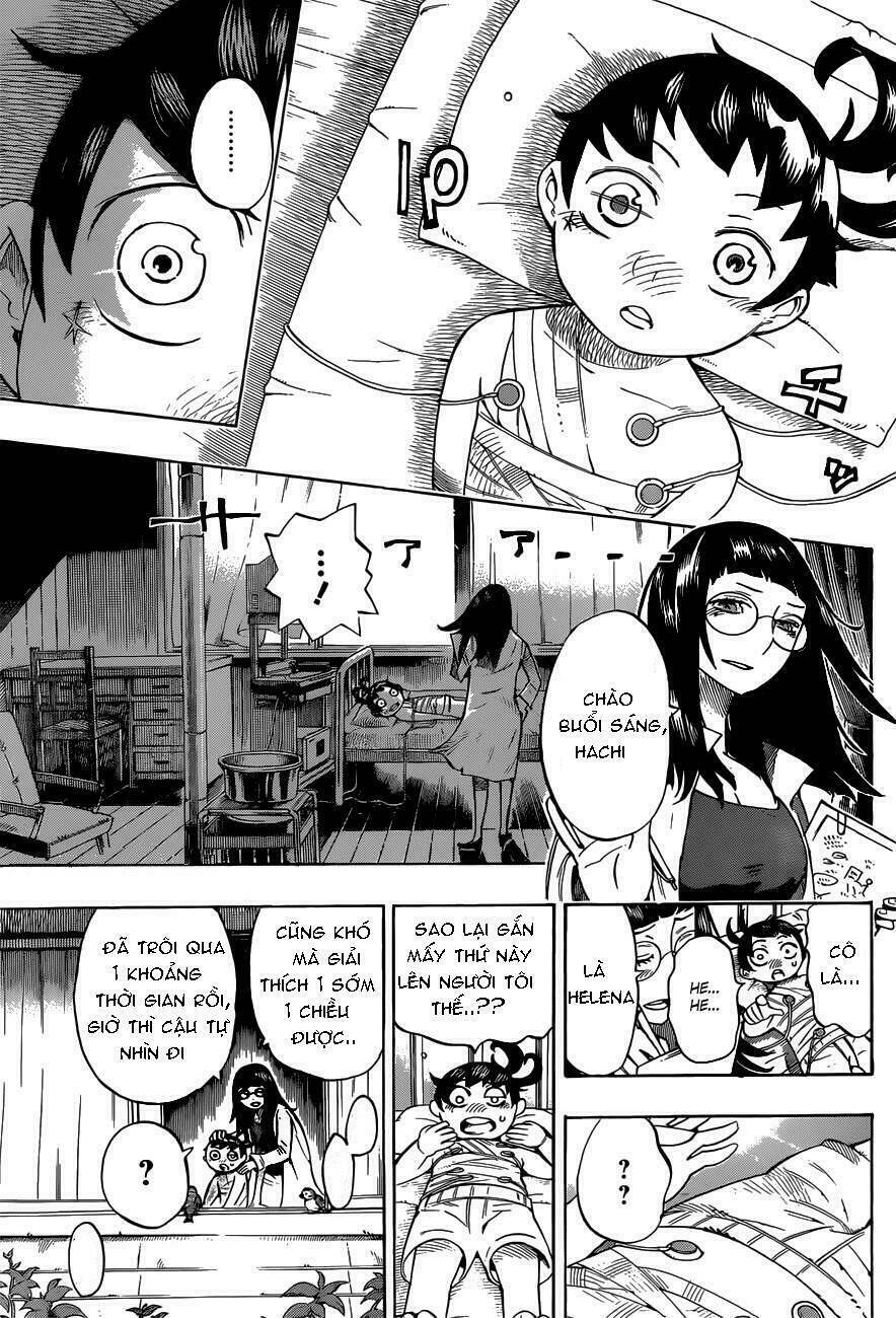 Hachi Chapter 3 - Trang 2