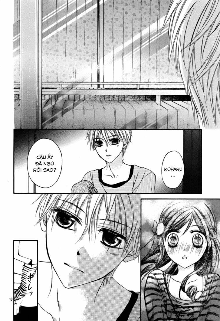 Hachimitsu Ni Hatsukoi Chapter 13 - Next Chapter 14