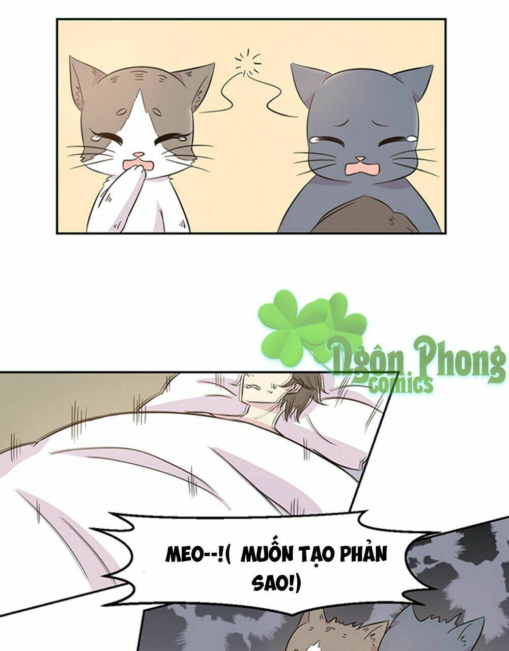 Hai Chú Mèo ToTem Chapter 19 - Trang 2