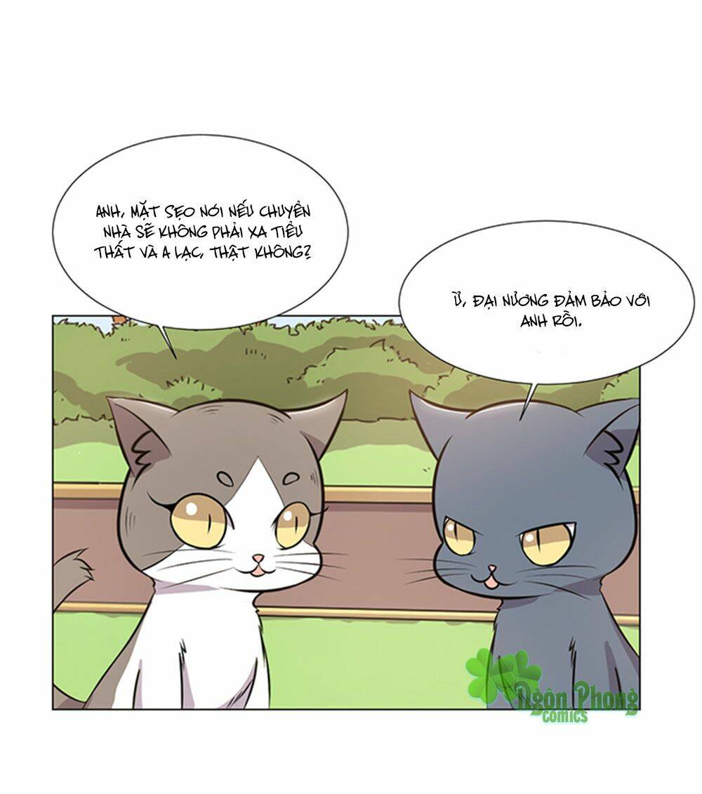 Hai Chú Mèo ToTem Chapter 39 - Trang 2