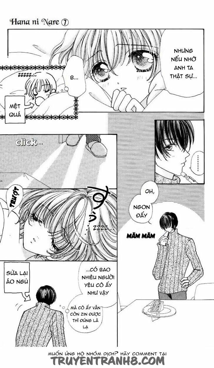 Hana Ni Nare Chapter 43 - Trang 2