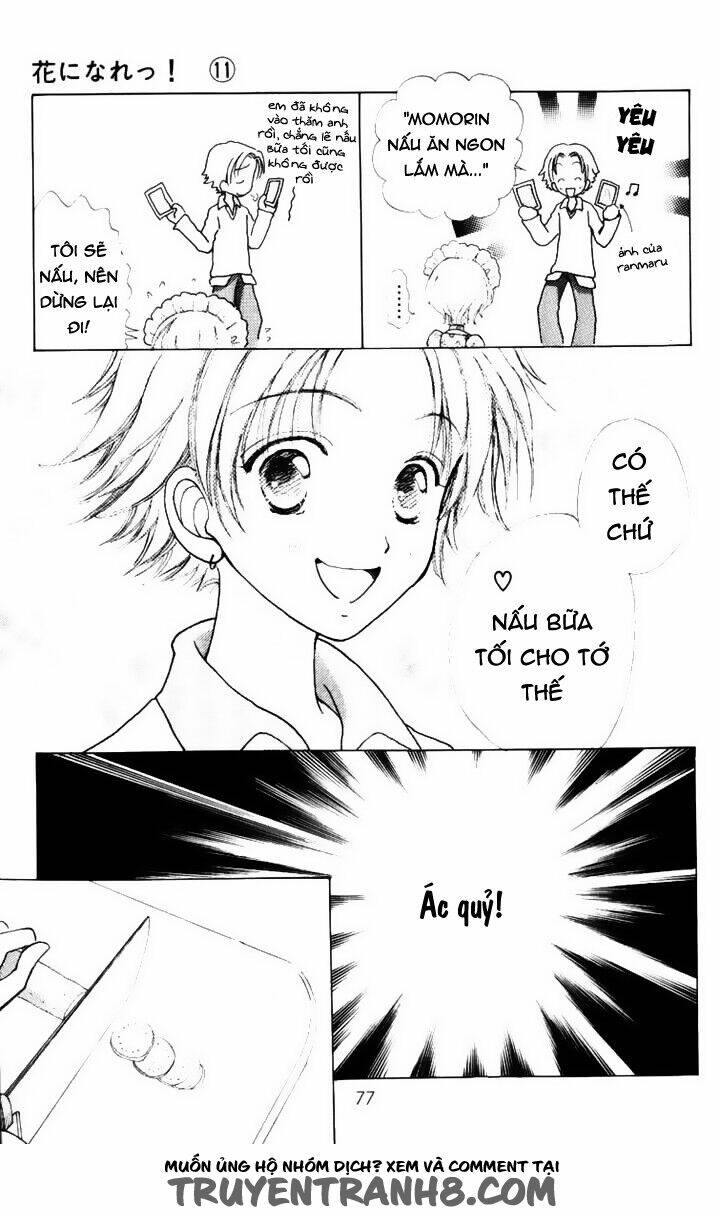 Hana Ni Nare Chapter 68 - Trang 2