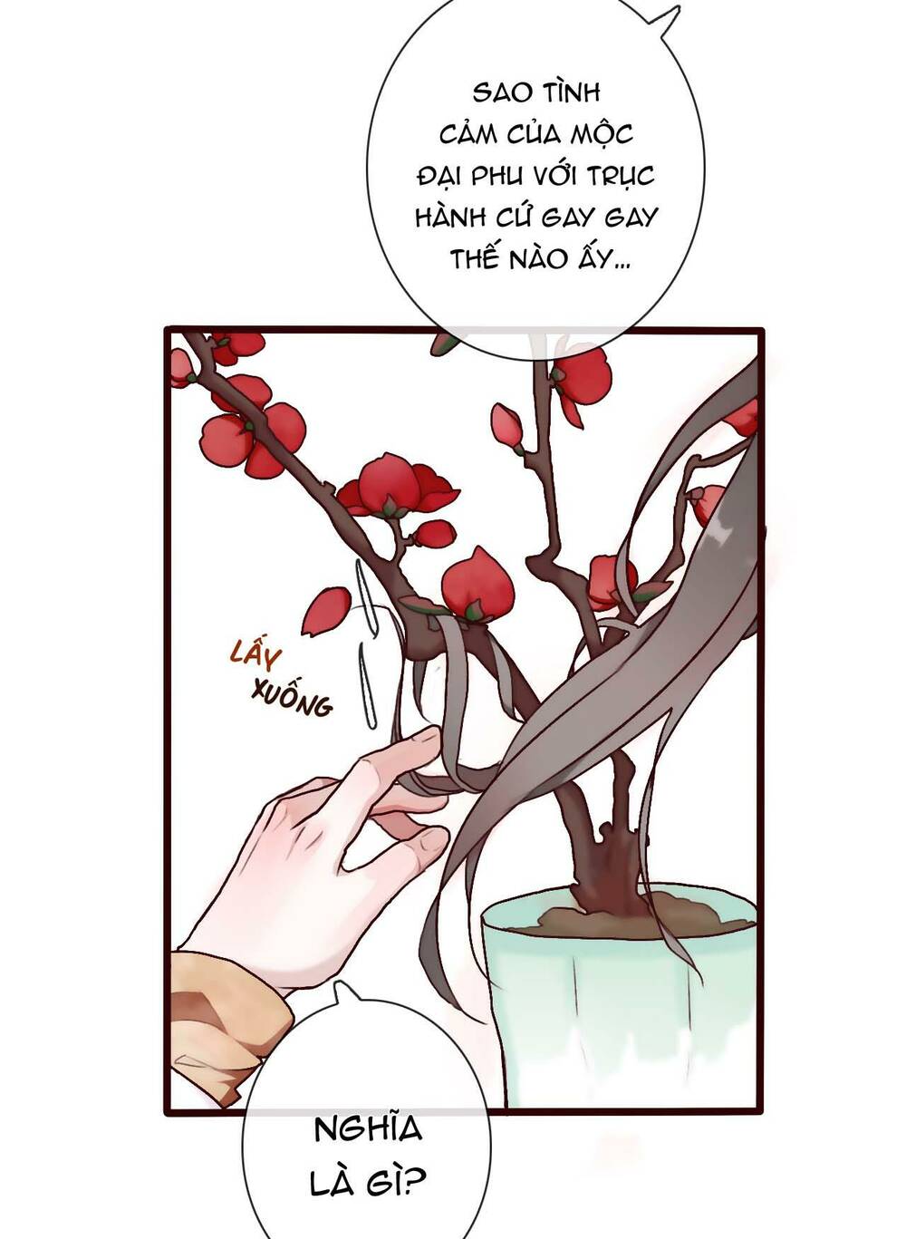 hạnh lâm phương hoa chapter 33 - Trang 2