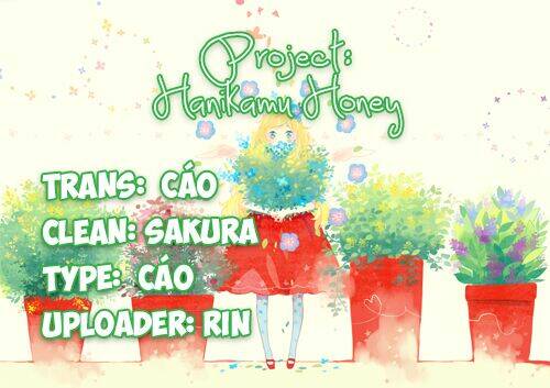 hanikamu honey chapter 3 - Trang 2