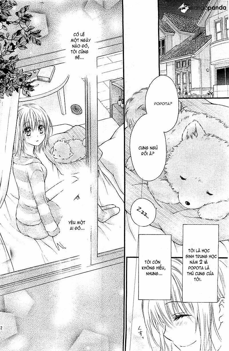 Hatsukoi Dandelion Chapter 1 - Trang 2