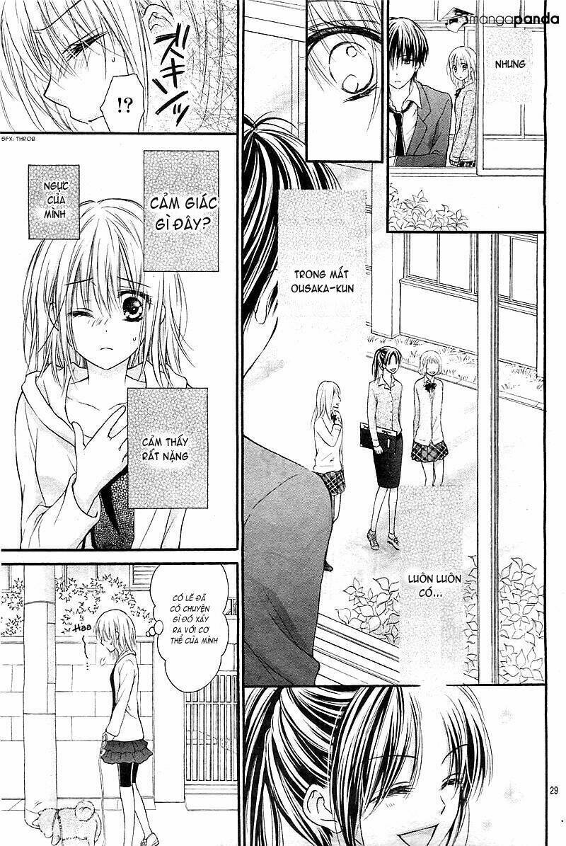 Hatsukoi Dandelion Chapter 1 - Trang 2