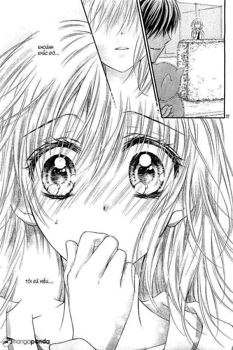 Hatsukoi Dandelion Chapter 1 - Trang 2