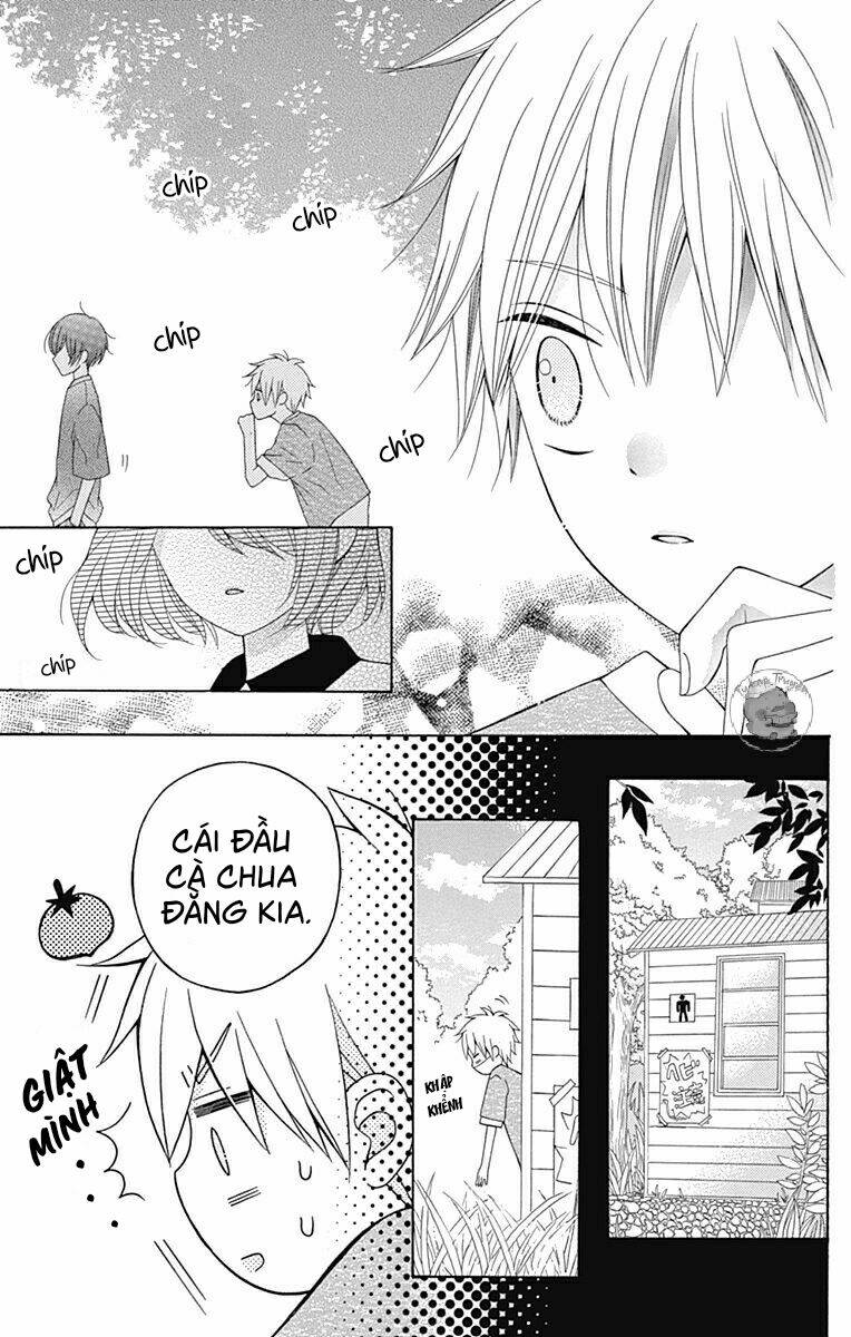 Hatsukoi To Taiyou Chapter 9 - Next Chapter 10