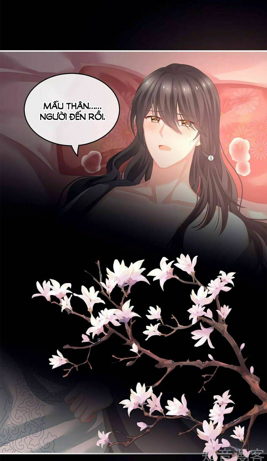 hậu cung của nữ đế chapter   141 - Trang 2