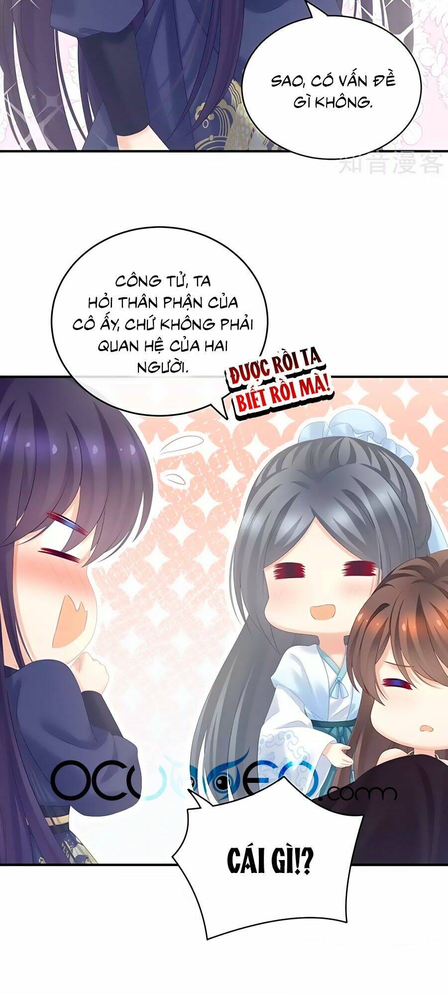 hậu cung của nữ đế chapter 190 - Trang 2